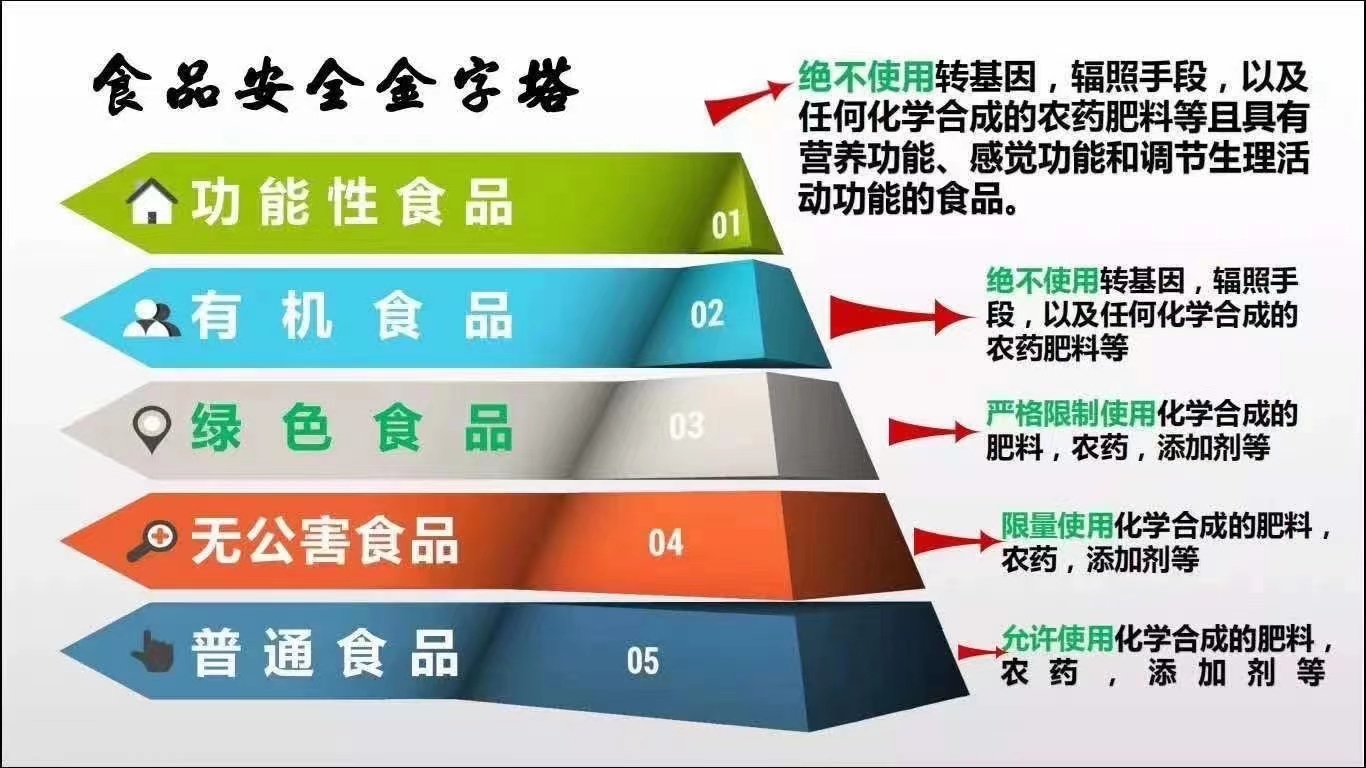 关键文案 (3).jpg